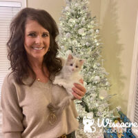 Angela Taylor of Hot Springs Arkansas with her Wiseacres Ragdolls kitten
