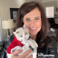Angela Taylor of Hot Springs Arkansas with her Wiseacres Ragdolls kitten