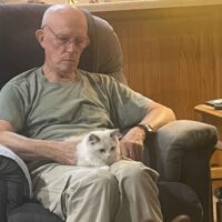 Blue Bicolor Ragdoll Kitten in Benton, Arkansas