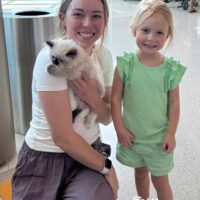 Seal Point Mitted Ragdoll Kitten in Rogers, Arkansas