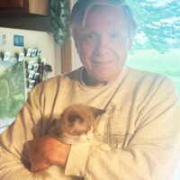 Mink Bicolor Ragdoll Kitten in Plainville, Michigan