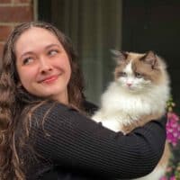 Mink Bicolor Ragdoll Kitten in Lamar, Arkansas